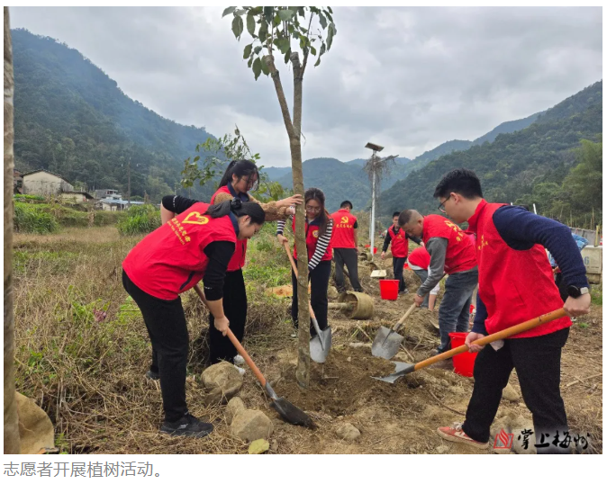 让“志愿红”成为青春最美底色!丰顺县青年志愿服务工作从“活动化”迈向“生态化”