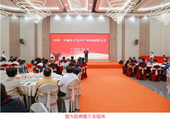 投资丰顺 财丰人顺!中国•丰顺电子电声产业招商推介会圆满举行