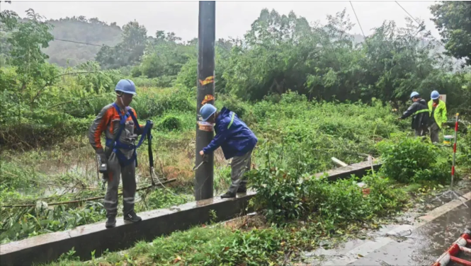 齐心抗汛 风雨同舟!丰顺:全力进行抢险救援 有序开展灾后复产