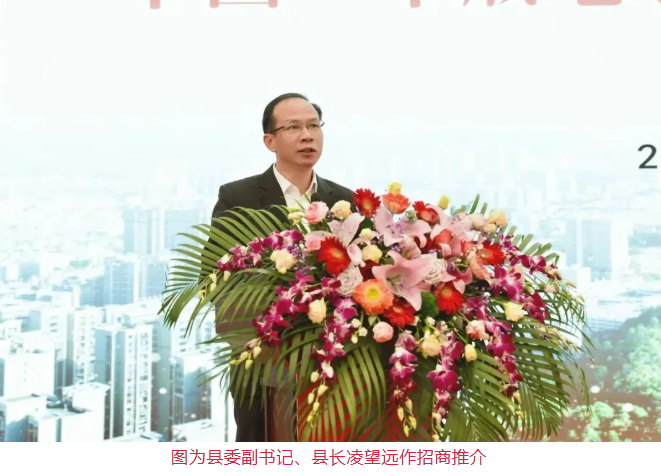 投资丰顺 财丰人顺!中国•丰顺电子电声产业招商推介会圆满举行