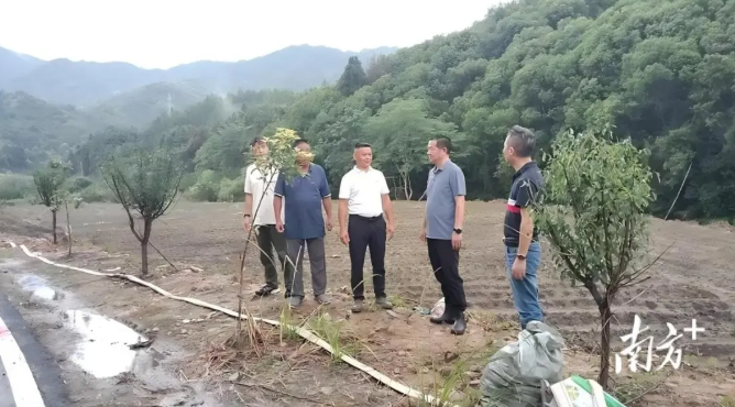 广州来的队伍，让潘田镇村集体收入翻番