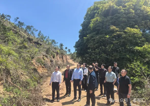 6万尾鱼苗!在汤坑投放