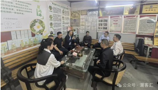 6万尾鱼苗!在汤坑投放