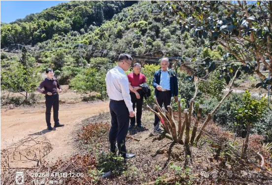 6万尾鱼苗!在汤坑投放