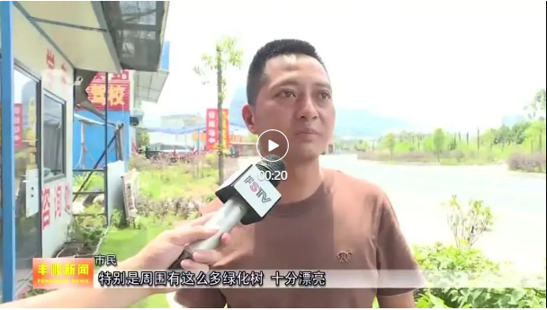 丰顺全力打造绿色风景线,村民连连称赞