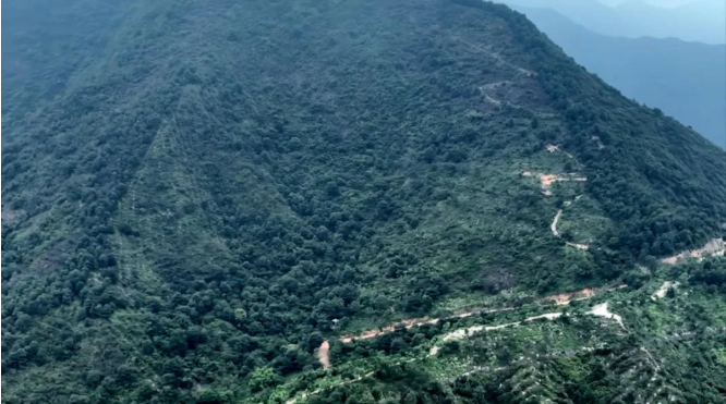 温情满重阳！黎峰森林公园：群众自发清扫 接力守护家乡“生态名片”