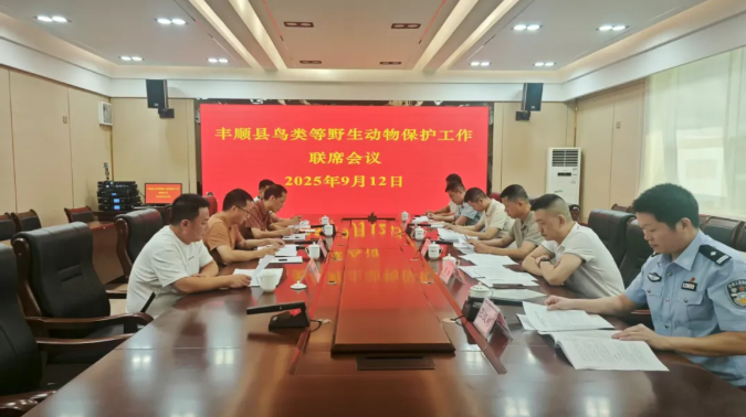 丰顺多部门联手，重拳守护“空中精灵”