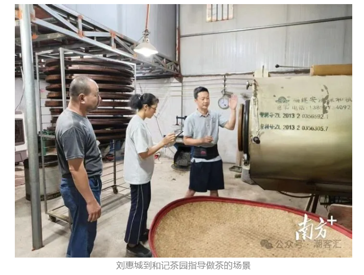 专家现场示范！丰顺这场跨区域协作太赞了